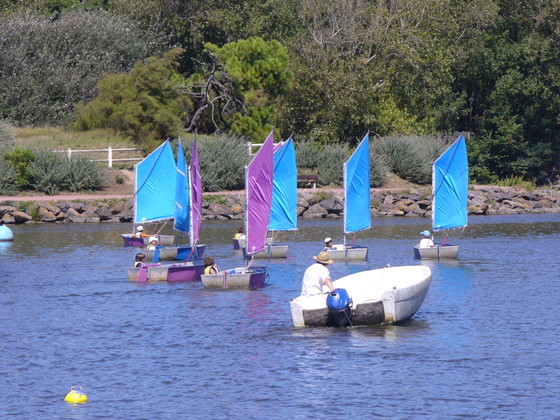 Optimist 6