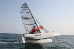 Dart 5